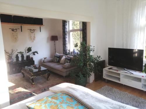ein Wohnzimmer mit einem Sofa und einem Flachbild-TV in der Unterkunft Villa Elisenruh in Schmalfeld