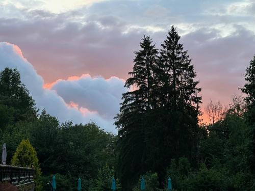 a group of trees in front of a cloudy sky at Villa Moncoeur in Remiremont