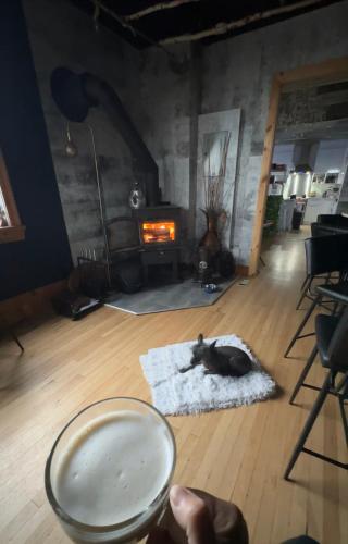 a cat laying on a rug in a room with a fireplace at LA MAISON NAMASTÉ Auberge touristique in Lachute