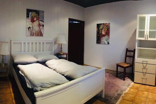 a bedroom with two beds with white pillows at Ferienwohnung mit Sauna Reiterhof barrierefrei in Lichtenau