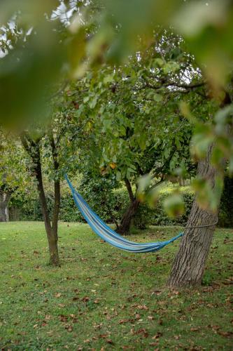 a blue hammock between two trees in a field at Rózsa Porta in Zengővárkony