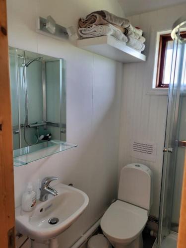 La petite salle de bains est pourvue de toilettes et d'un lavabo. dans l'établissement The Wee Cosy House., à Arabaer