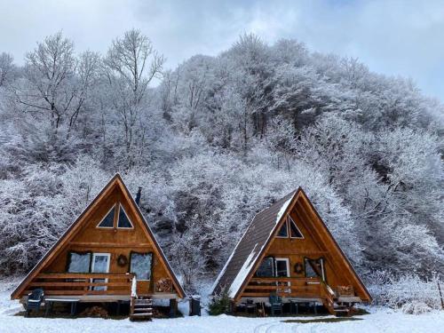 two log homes in the snow with trees at Cabanutze Satic in Rucăr