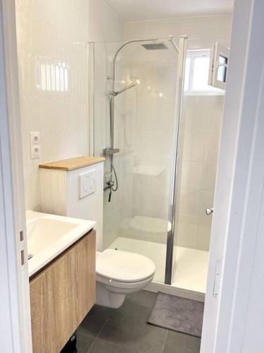une salle de bain avec une douche, des toilettes et un lavabo dans l'établissement Le Rocher Trouville, à Trouville-sur-Mer