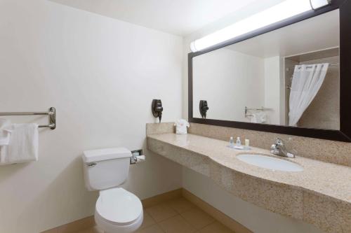 a bathroom with a toilet and a sink with a mirror at Comfort Inn Near Grand Canyon in Williams