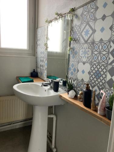 een badkamer met een wastafel en een spiegel bij Terra's room in Rouen