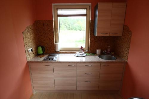 KoplyčninkaiにあるAurora housesのシンクと窓のあるキッチン