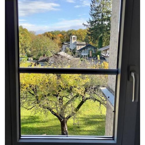una ventana con vistas a un árbol en 51 m² zum Ausruhen und Entspannen im Grünen, 