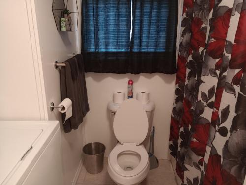 a small bathroom with a toilet and a window at Overlook Lakehouse on Chippewa Lake Close to Haymarsh State Game Area and Ferris State College in Barryton