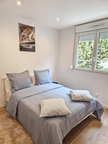 une chambre avec un grand lit avec deux oreillers dans l'établissement Spacieux et lumineux Appartement, à Aulnay-sous-Bois