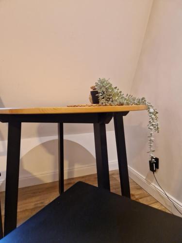a wooden table with a potted plant on it at Casa Mama c entrum in Poznań