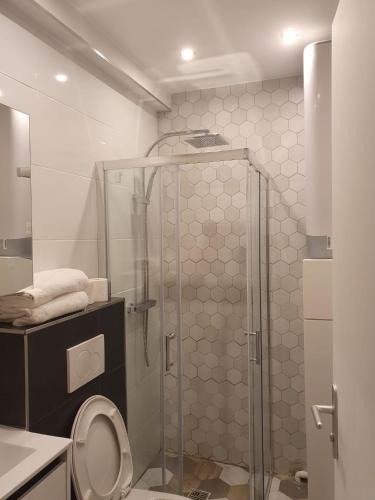 une salle de bain avec douche et toilettes dans l'établissement Beau studio moderne proche de CDG/Paris/Parc d'Expo, à Aulnay-sous-Bois