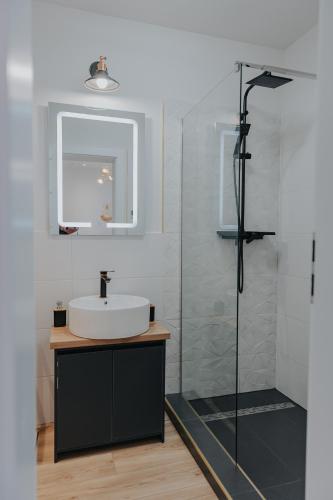 a bathroom with a sink and a shower at IoanaGuestHouse in Turda