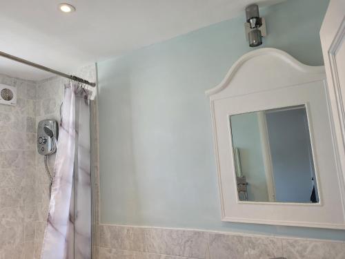 a bathroom with a mirror and a shower at LITTLE HAVEN 1 Bedroom House sought after area in Topsham