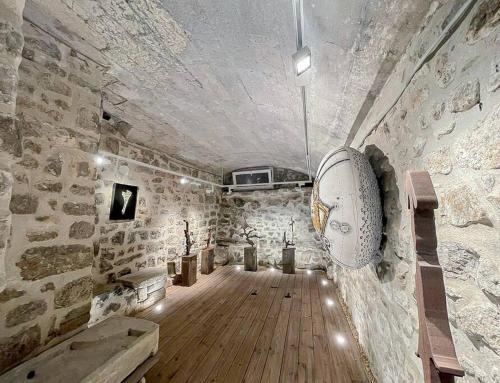 Cette grande chambre est dotée d'un mur en pierre et de parquet. dans l'établissement Studio 26*Galerie*Commerce*Arles centre, à Arles