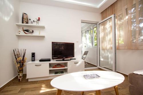 TV a/nebo společenská místnost v ubytování Milan apartment