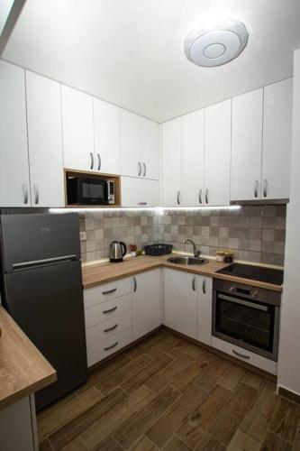 Cuina o zona de cuina de Milan apartment