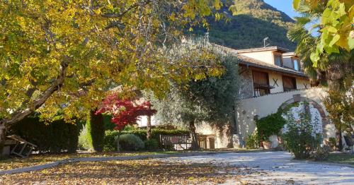 a house on a street with leaves on the ground at Ansitz Strengherrnhof in Caldaro