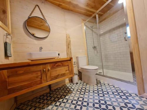 La salle de bains est pourvue d'un lavabo, de toilettes et d'une douche. dans l'établissement Mágica Casa Enclavada en el Corazón del Bosque, à Réserve biologique de Huilo-Huilo