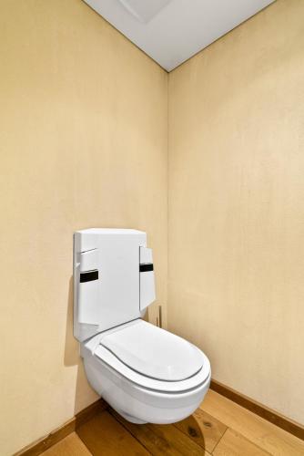 a bathroom with a white toilet in a room at A&Y Oldtown Penthouse Loft Luzern in Luzern