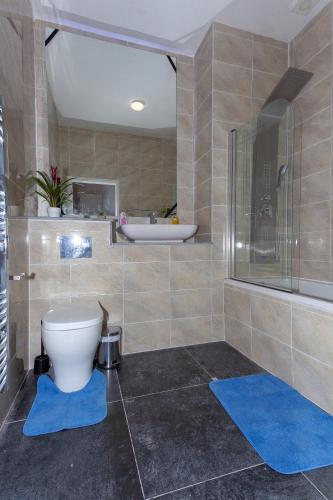 a bathroom with a toilet and a shower and blue mats at One Bedroom apartment Serviced apartment Smethwick flat 313 in Birmingham