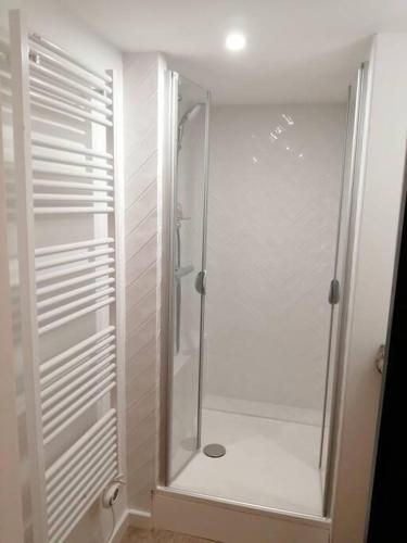 um chuveiro com uma porta de vidro na casa de banho em A 300 mètres de Paris 13, superbe deux pièces neuf em Ivry-sur-Seine