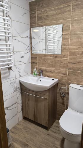 a bathroom with a sink and a toilet and a mirror at Pokoje Gościnne u Marka in Tuszyn
