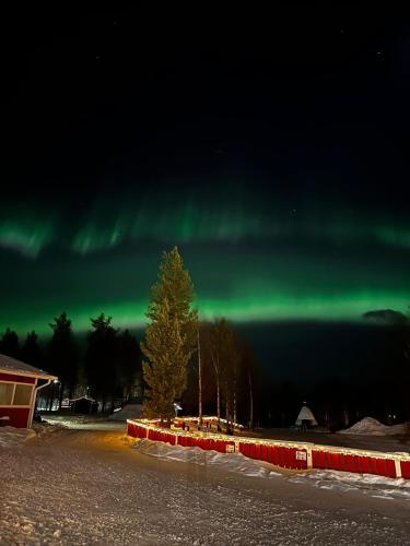 Ivalo River Camping