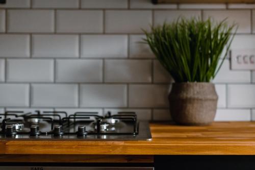 a kitchen stove with a potted plant on the counter at ComfySleep Apartments in Glasgow