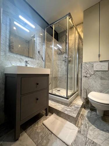 une salle de bain avec une douche, des toilettes et un lavabo dans l'établissement 4 personnes - St Lazar sur cour, à Paris