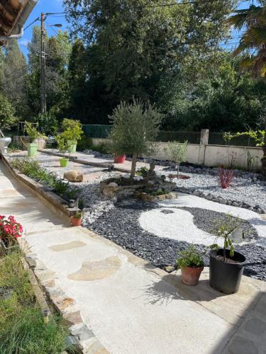 un jardin avec des plantes en pot et un sentier dans l'établissement La bergerie du padu, à Salies-de-Béarn