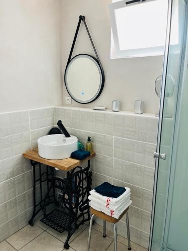 une salle de bain avec un lavabo et un miroir dans l'établissement La bergerie du padu, à Salies-de-Béarn