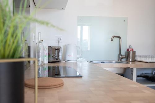 une cuisine avec un évier et un plan de travail dans l'établissement L'Isle en Blanc - 4 couchages - Hypercentre - Clim - Wifi, à LʼIsle-sur-la-Sorgue