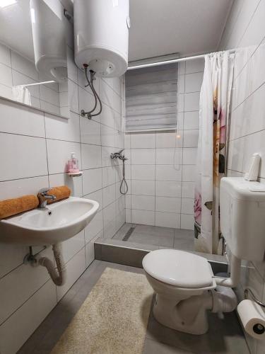 a bathroom with a toilet and a sink and a shower at Apartments Planinski raj in Travnik