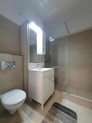 La salle de bains est pourvue de toilettes, d'un lavabo et d'une douche. dans l'établissement Sky Luxury Apartment #2, à Craiova