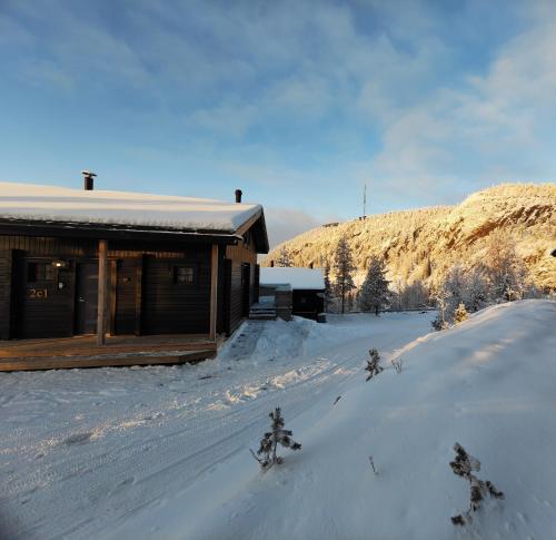 Rukan Tunturipöllö in de winter