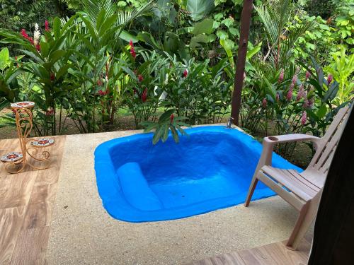 a blue tub sitting next to a chair next to a chair at Drake Bay River View in Drake