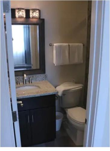 a bathroom with a toilet and a sink and a mirror at Entire 3 bedroom Private Luxury Condo in Washington