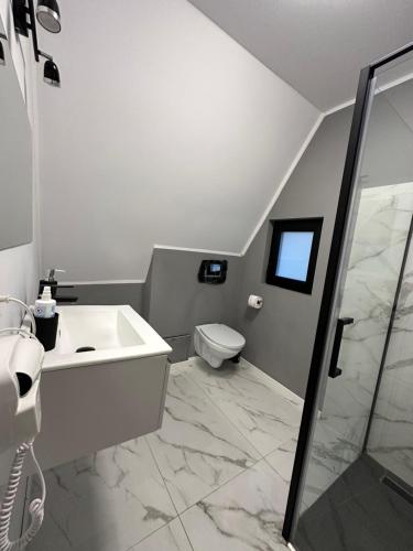 La salle de bains est pourvue d'un lavabo, de toilettes et d'une douche. dans l'établissement Cabana Green Hill, à Borşa