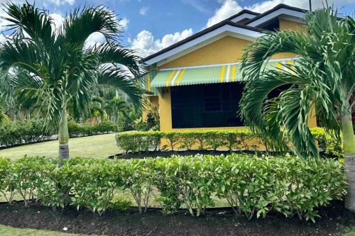 Dell's Exotic Haven, 2 bedrooms, 2 baths, pool, gymにある庭