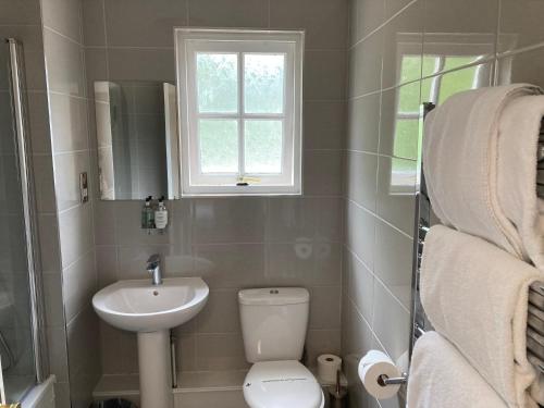 a bathroom with a toilet and a sink and a window at Village Inn in Arrochar