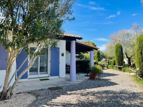 a house with a porch with columns and a tree at Les Cyprés in Saintes-Maries-de-la-Mer