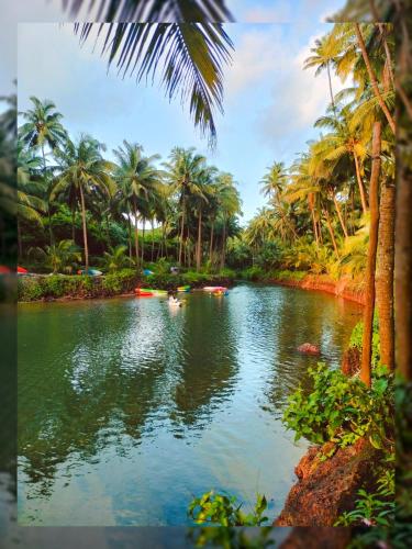 a pond with palm trees and boats in it at Samyama Retreat in Cola
