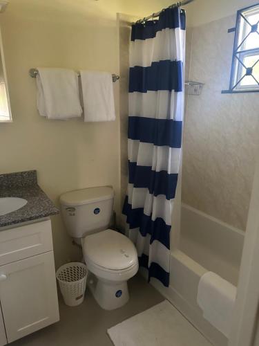 Mammee BayにあるDell's Exotic Haven, 2 bedrooms, 2 baths, pool, gymのトイレとシャワー付きのバスルーム