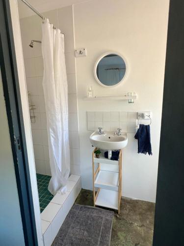 a bathroom with a sink and a shower at Riverdance Cottage in Malgas
