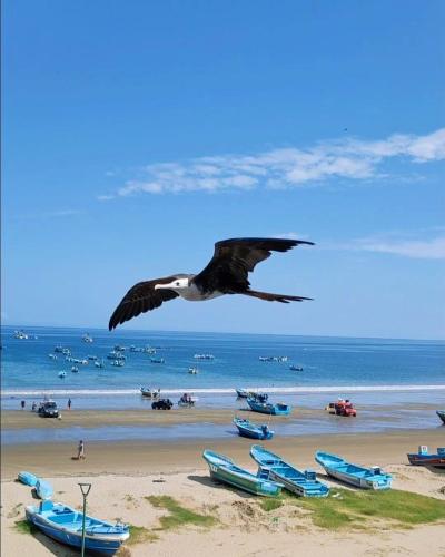 a bird flying over a beach with boats at Vistamar 100m2 departamento in Puerto López