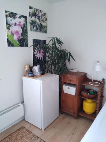 a white refrigerator in a room with a plant at Flat, heart of Billund, 600m to Lego House, close to Legoland, Lalandia, Airport, in Billund