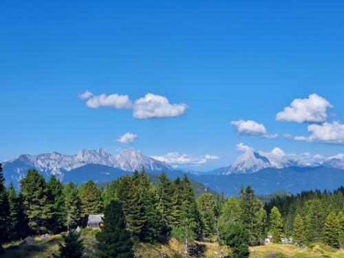 a view of mountains and trees and a blue sky at Ferienhaus Messner in Hohentauern