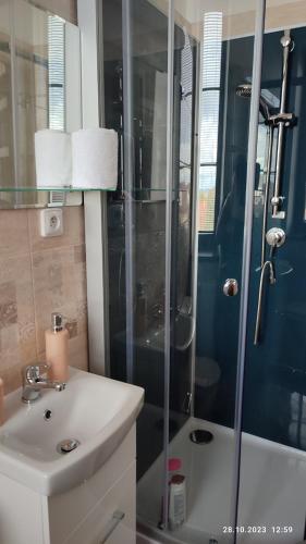 a bathroom with a shower and a sink and a toilet at Villa Homestay Nad Helmrovkou in Prague
