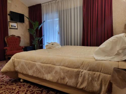 基安奇安諾泰爾梅的住宿－GRAND HOTEL LE FONTI，酒店客房设有床和窗户。